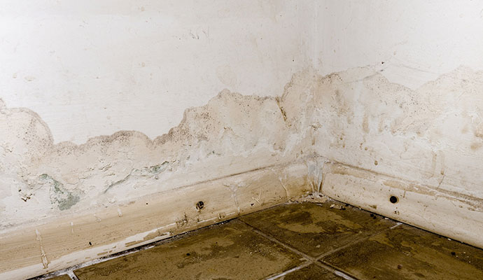 Severe water damage and mold on interior drywall