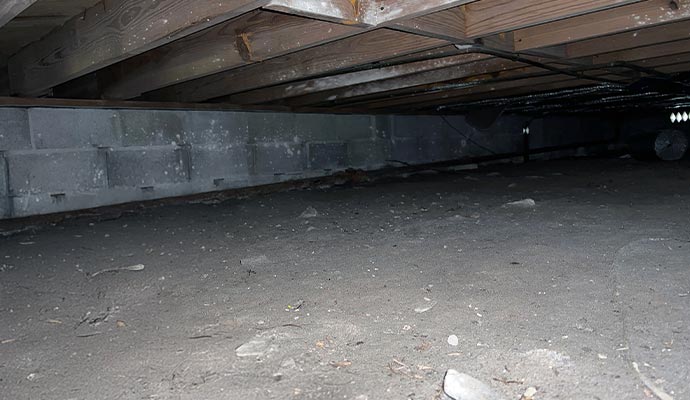 Moldy crawl space