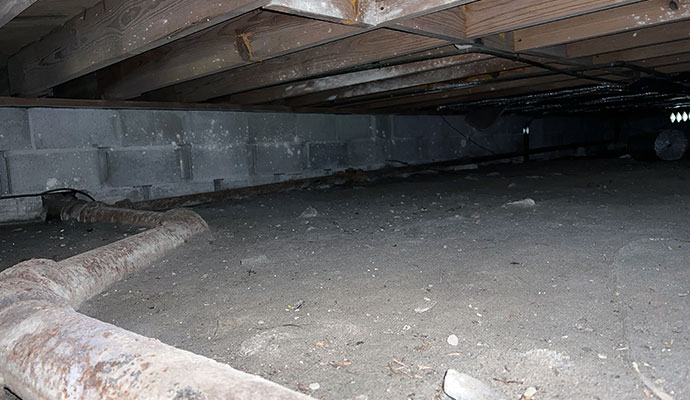 Damp crawl space with dirt floor and mold growth