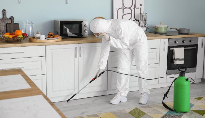 disinfecting by wearing proper dress