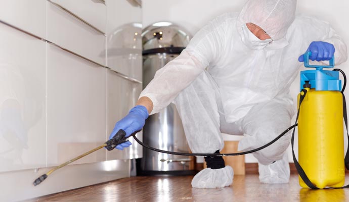 disinfecting professionally