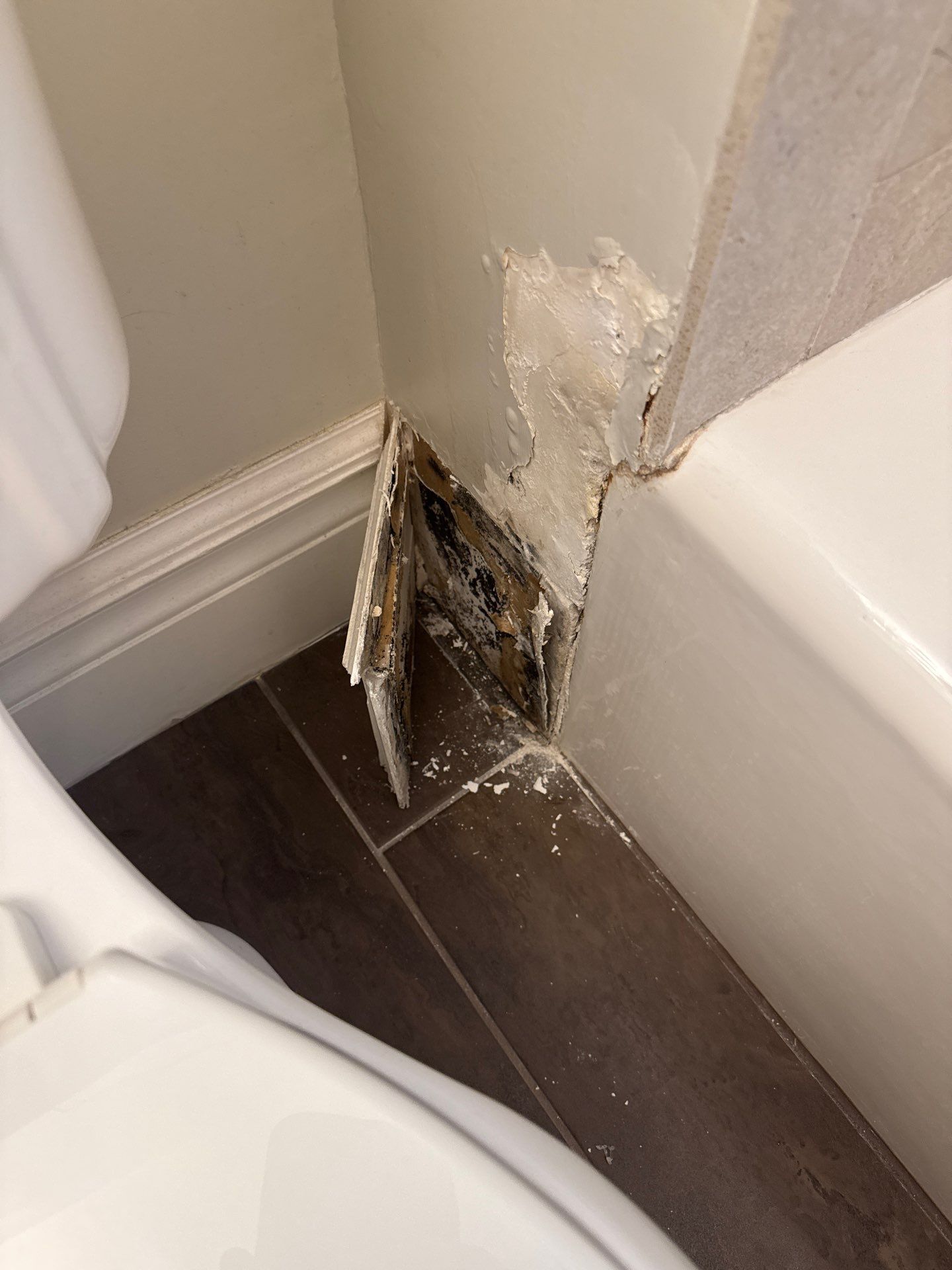 Bathroom mold inspection