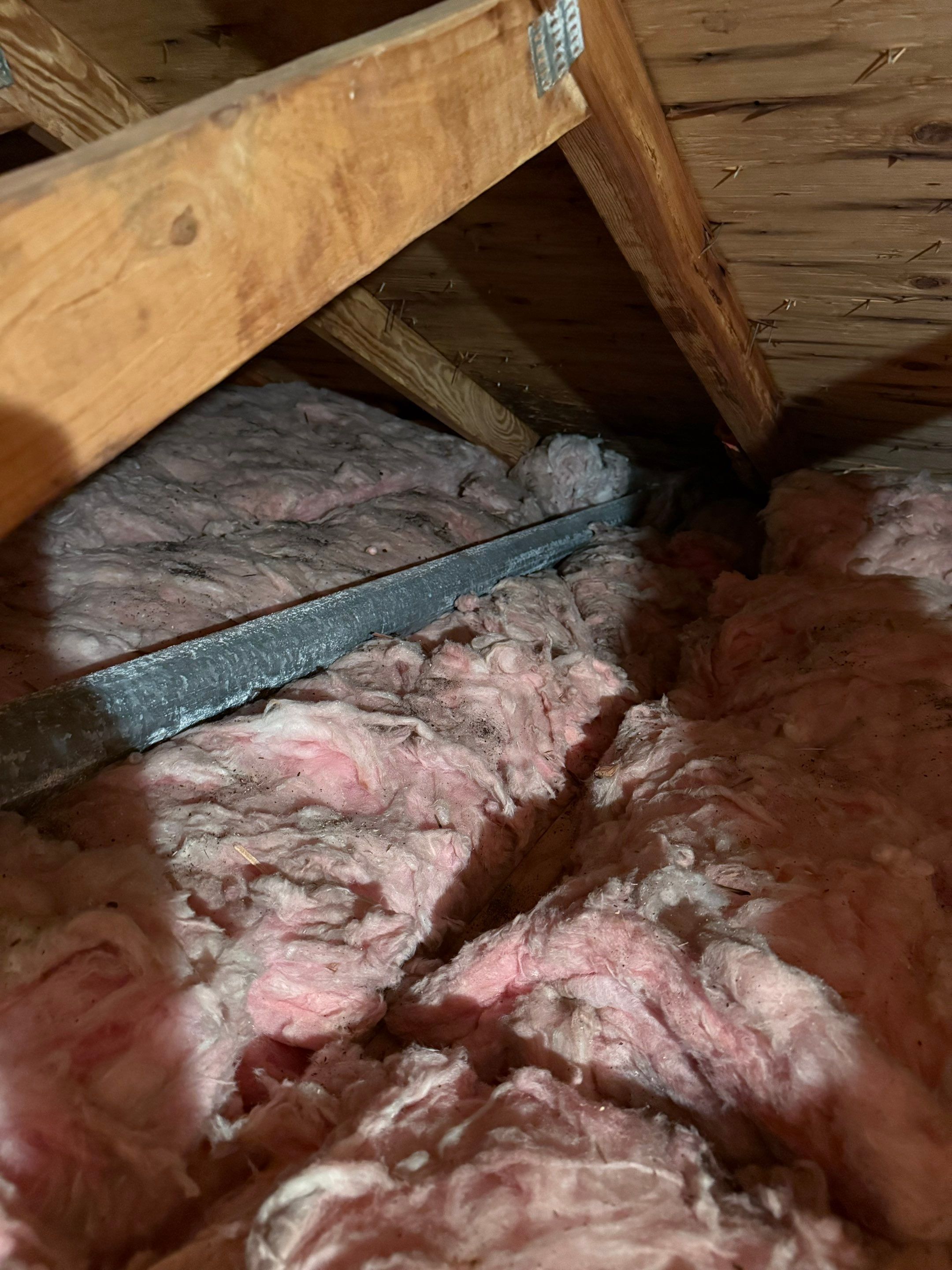 attic inspection