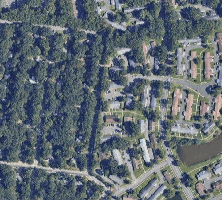Job in Lakewood