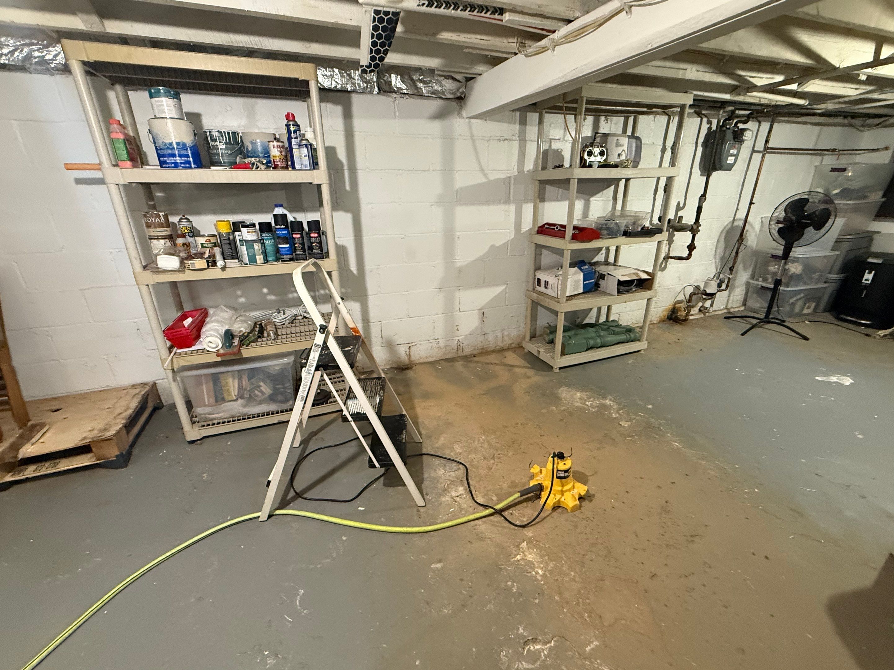 Joe P. in Hamilton Township