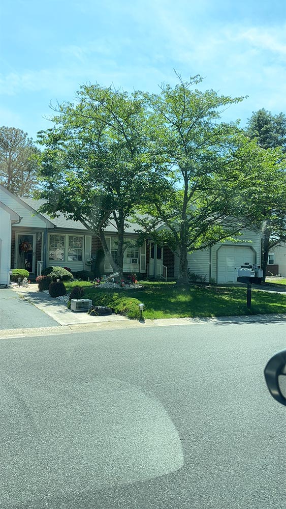 Job in Whiting