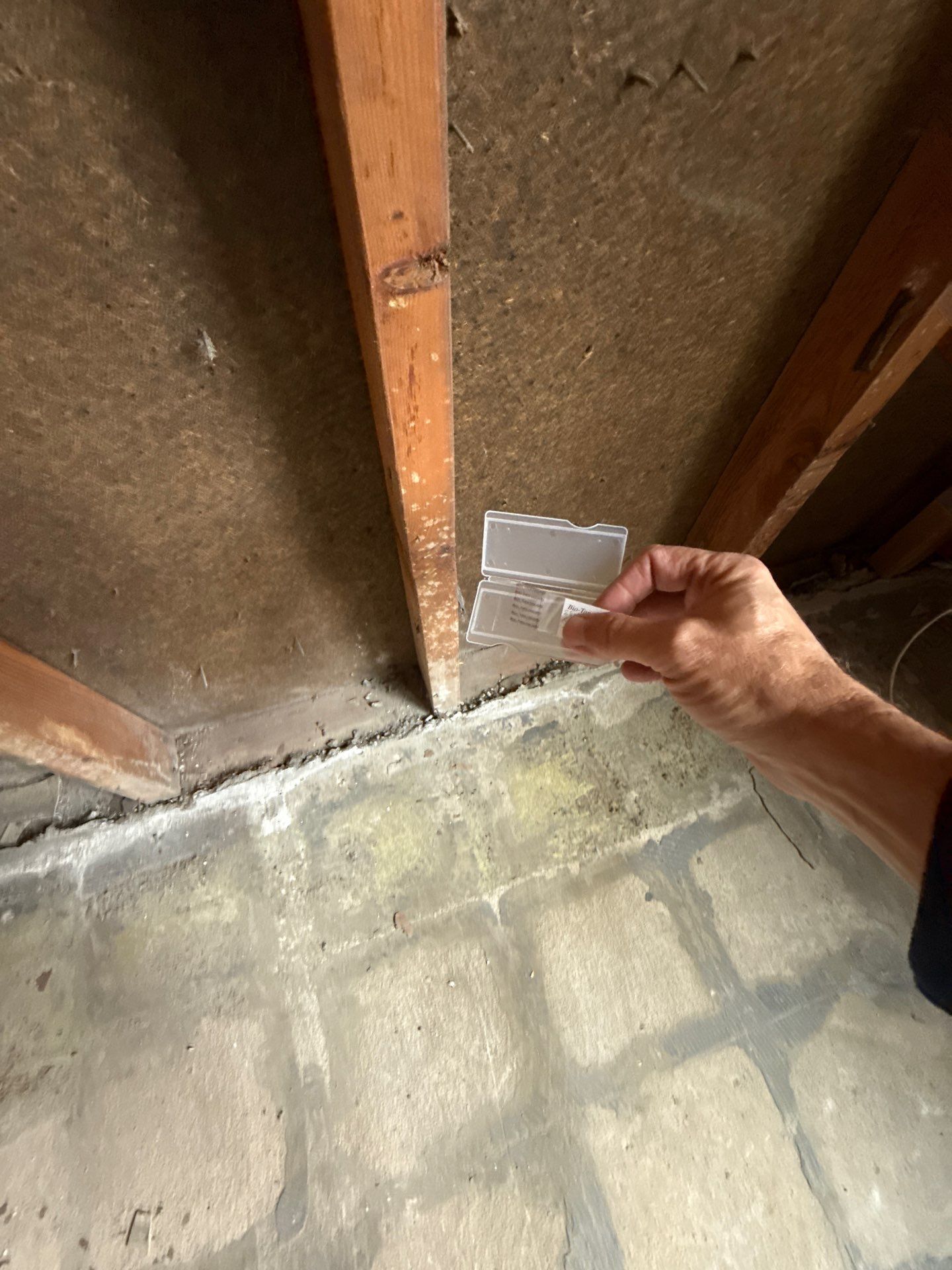 mold inspection & testing