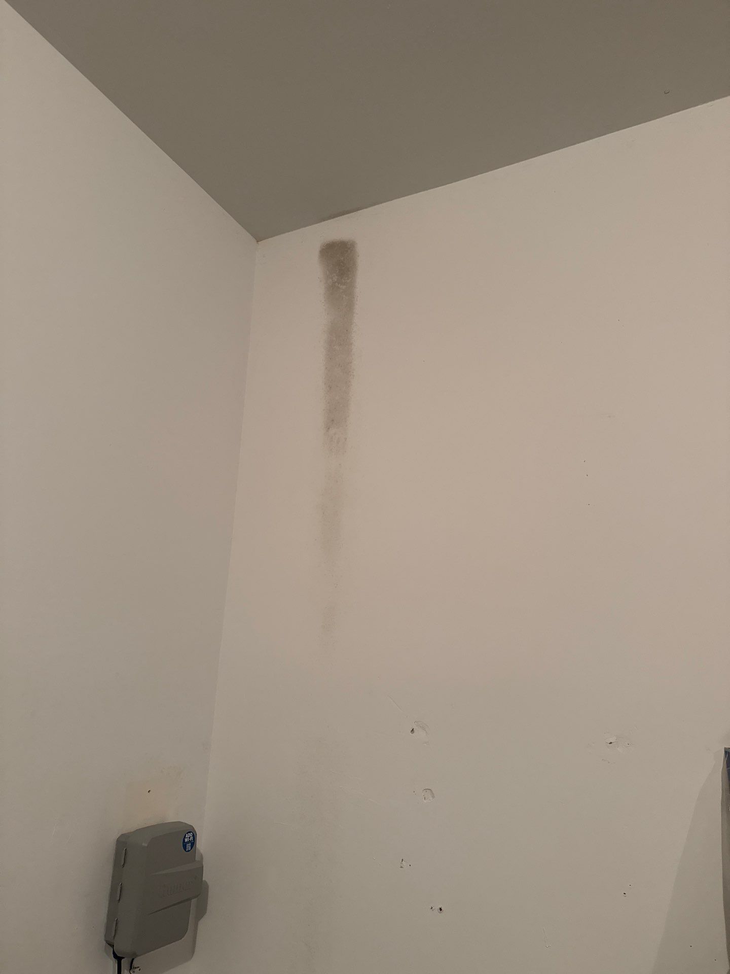 mold on bedroom wall