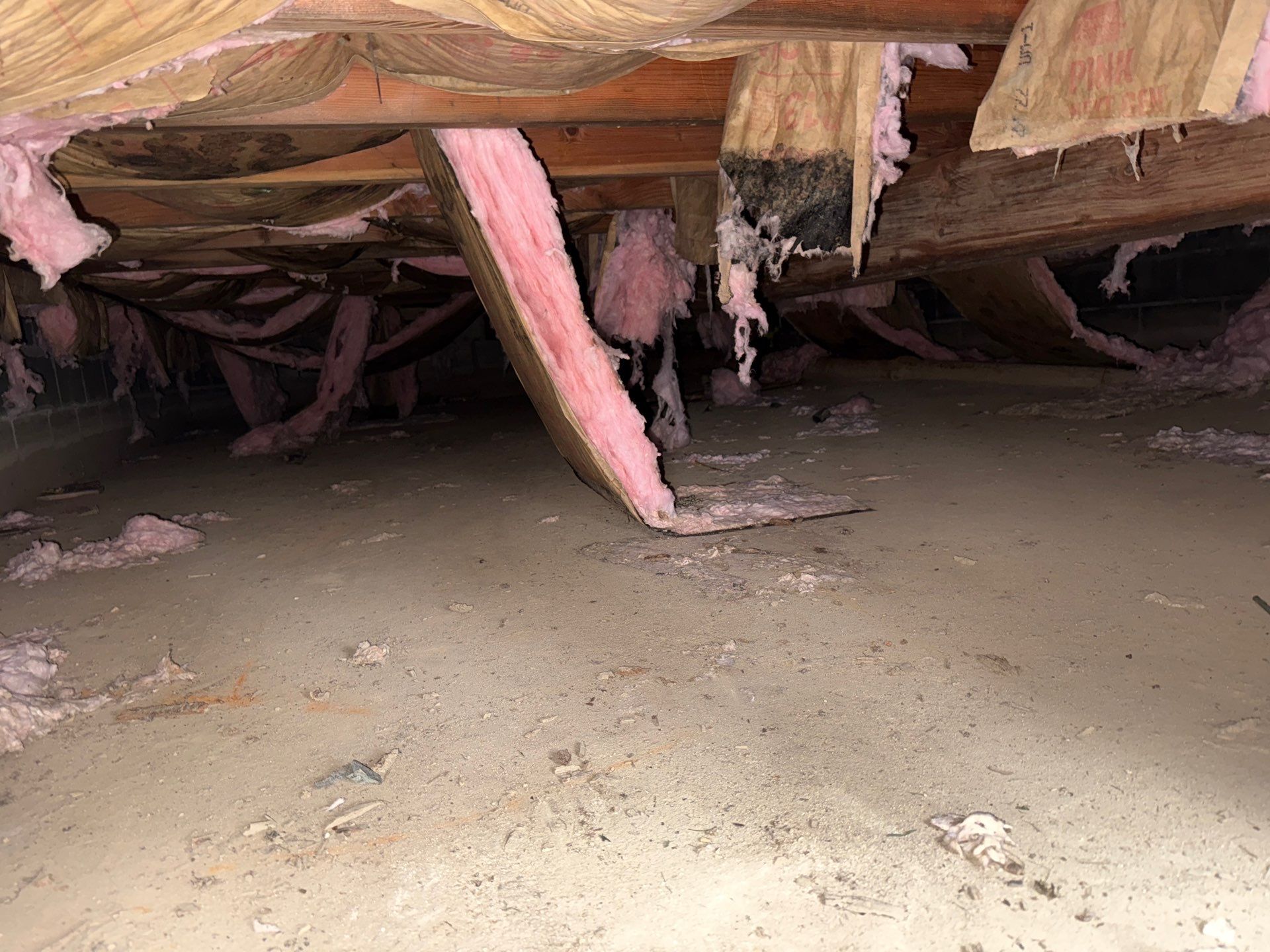 crawlspace mold inspection