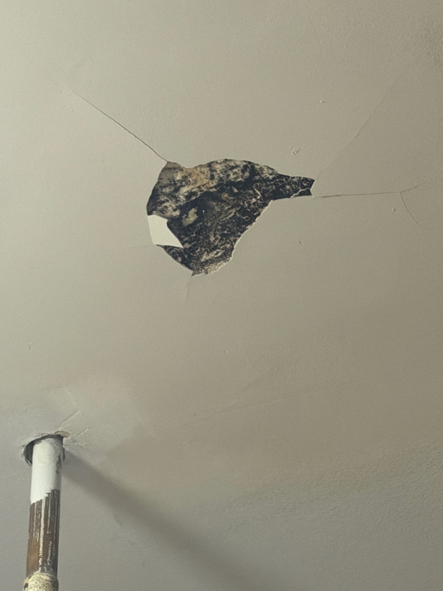 Mold Inspection & Testing in Haledon