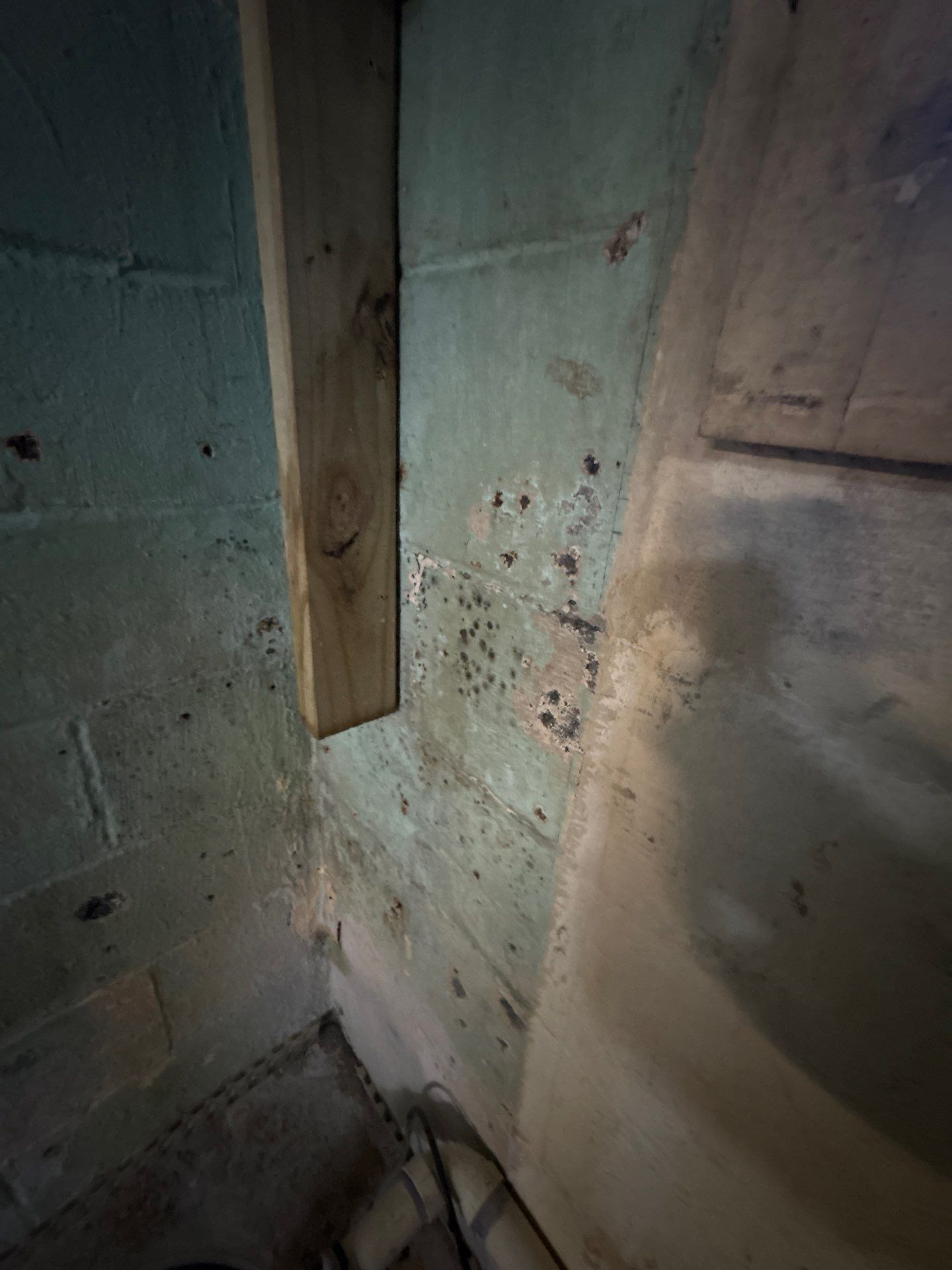 Entire Home Mold Inspection in Red Bank