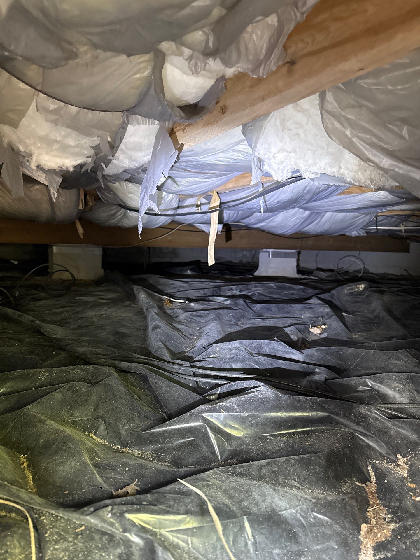 Crawlspace Mold Inspection