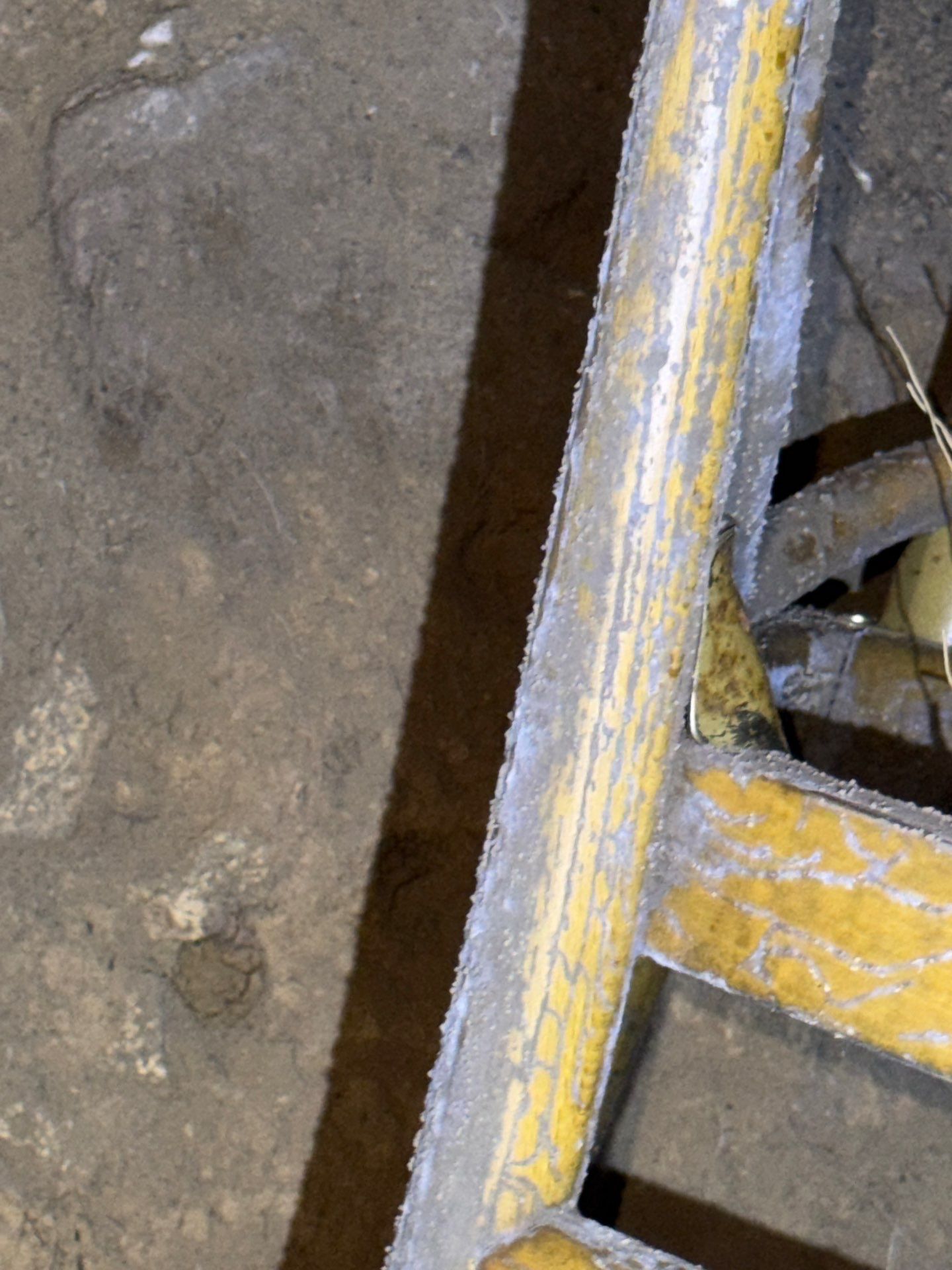 Mold Remediation in Denville