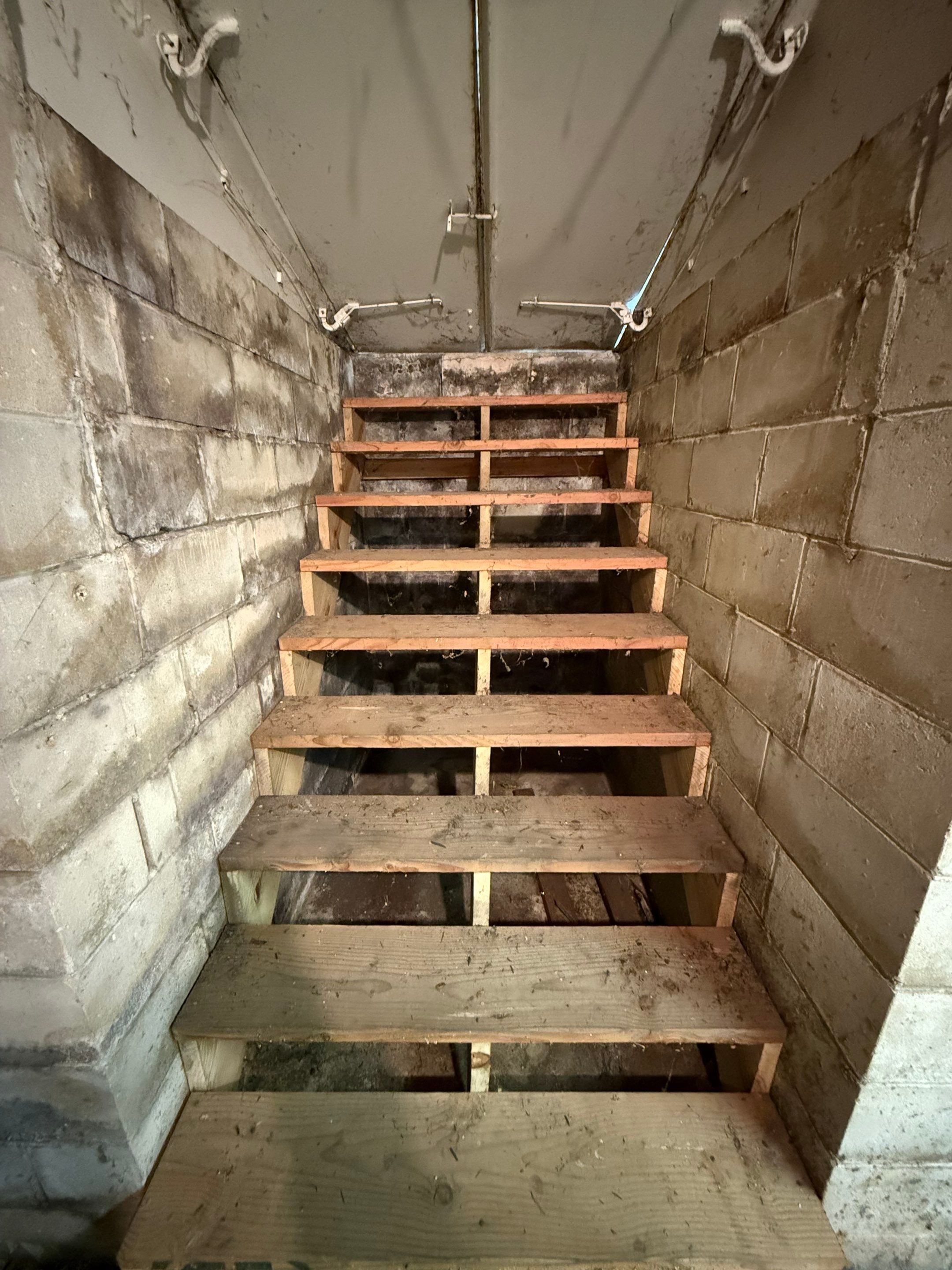 Basement mold inspection