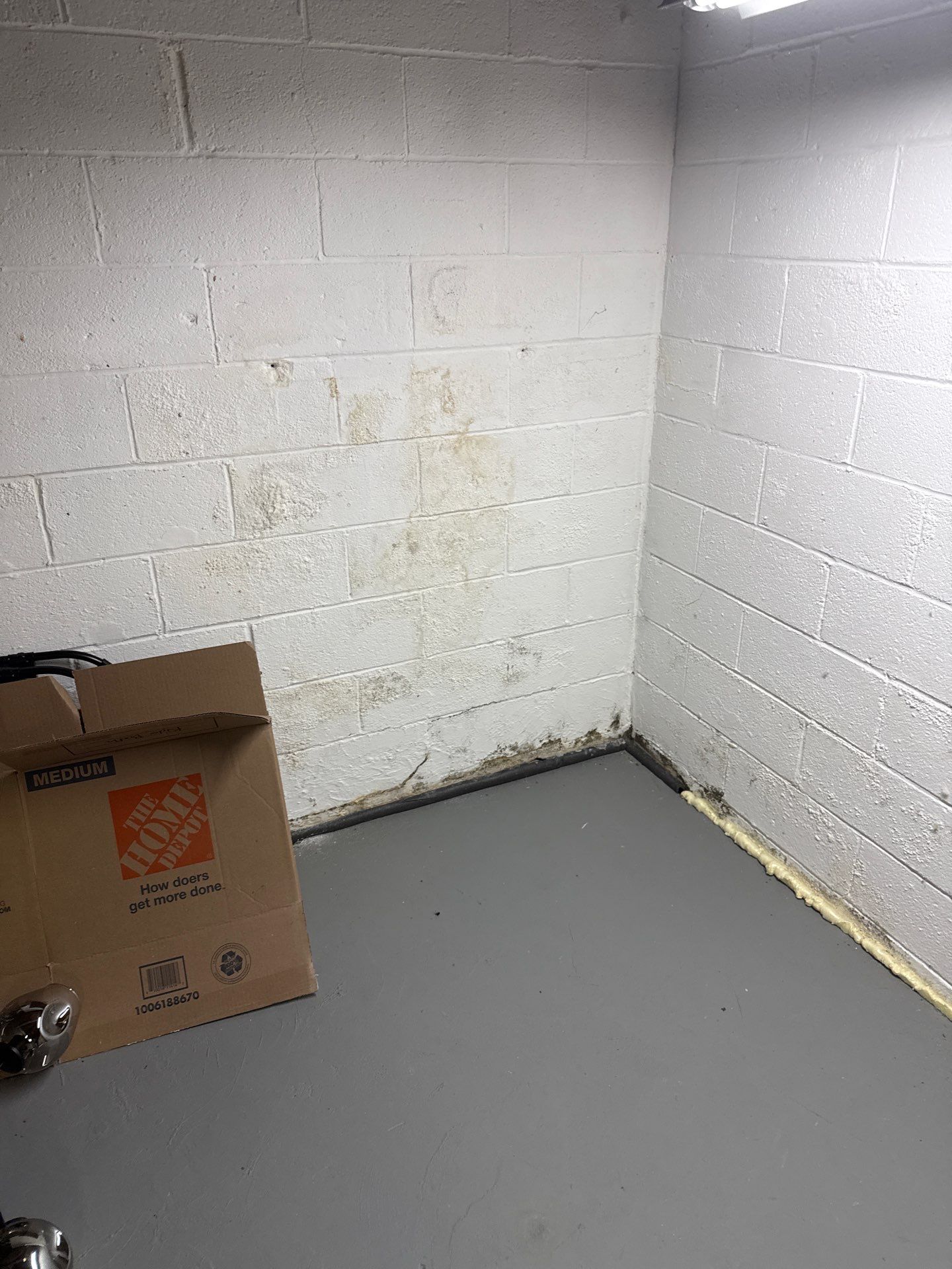Basement mold inspection