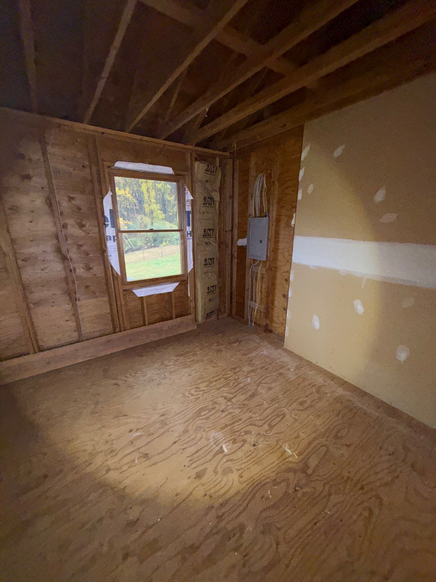 attic mold remediation