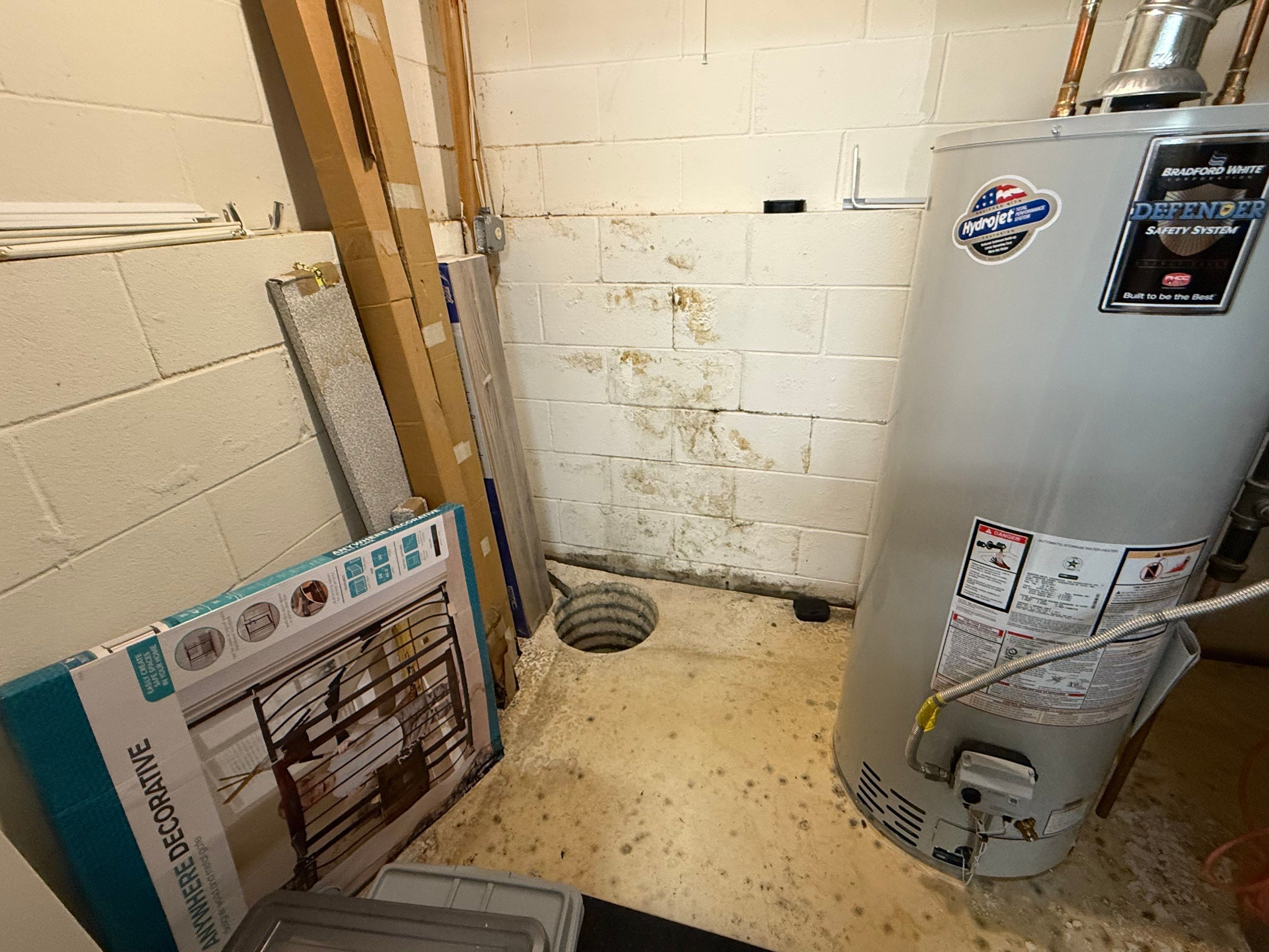 basement mold inspection
