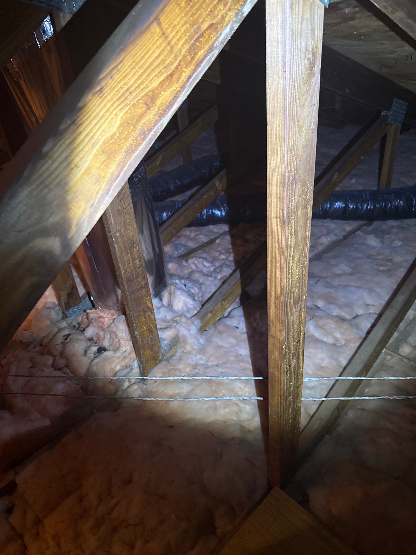 Mold Inspection & Testing in Lakewood