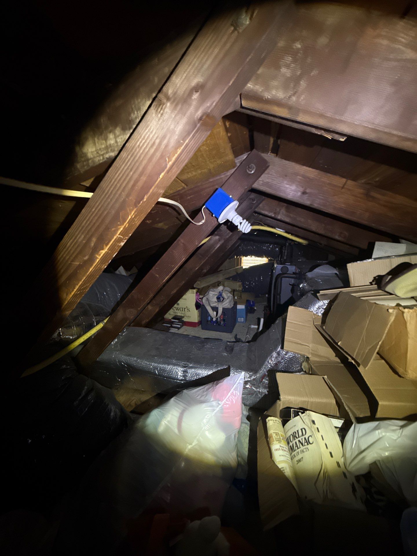 attic mold inspection