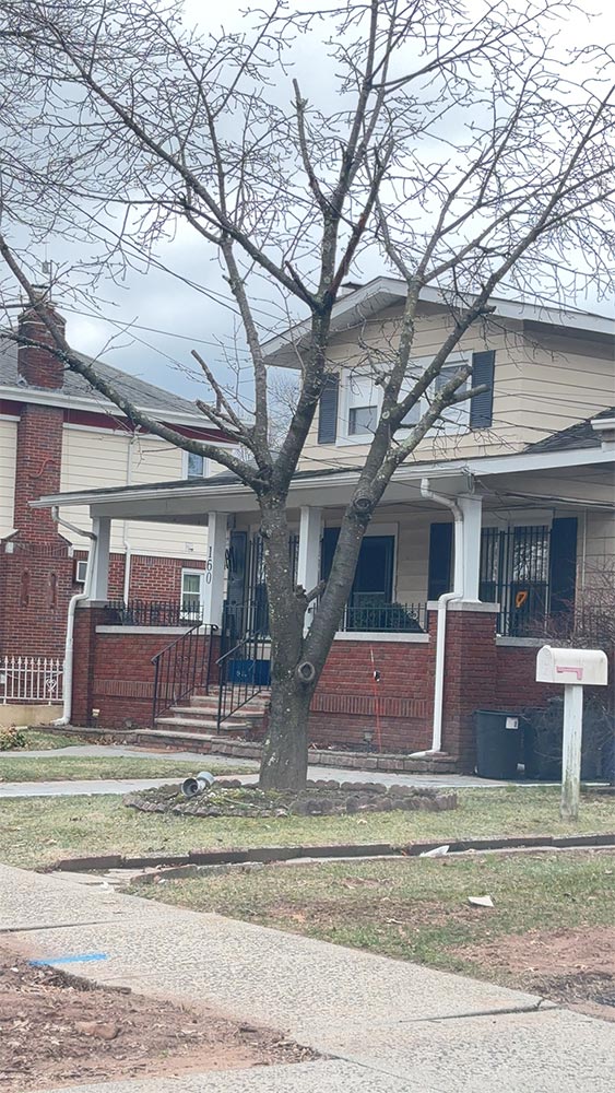 Job in Paterson