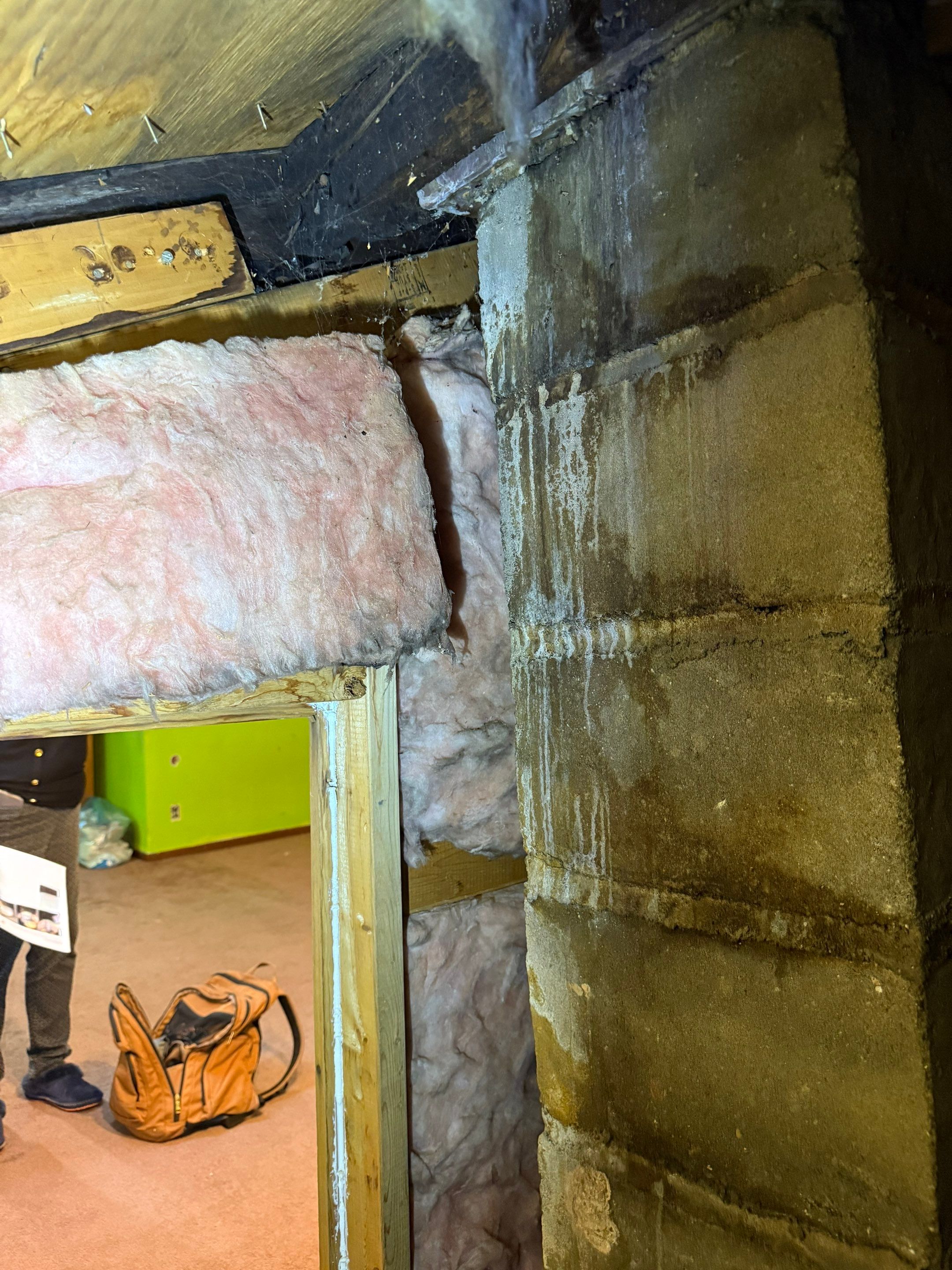 Basement mold inspection