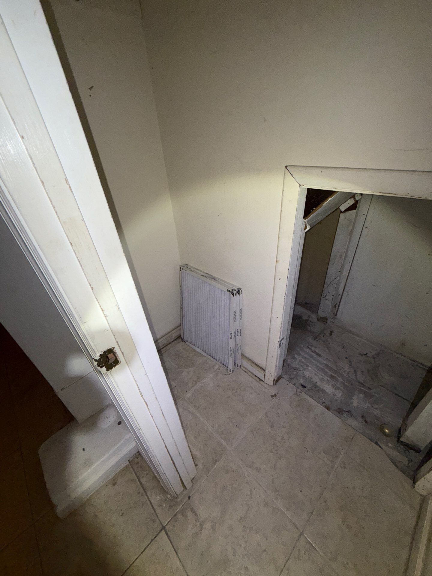 mold growth and water damage