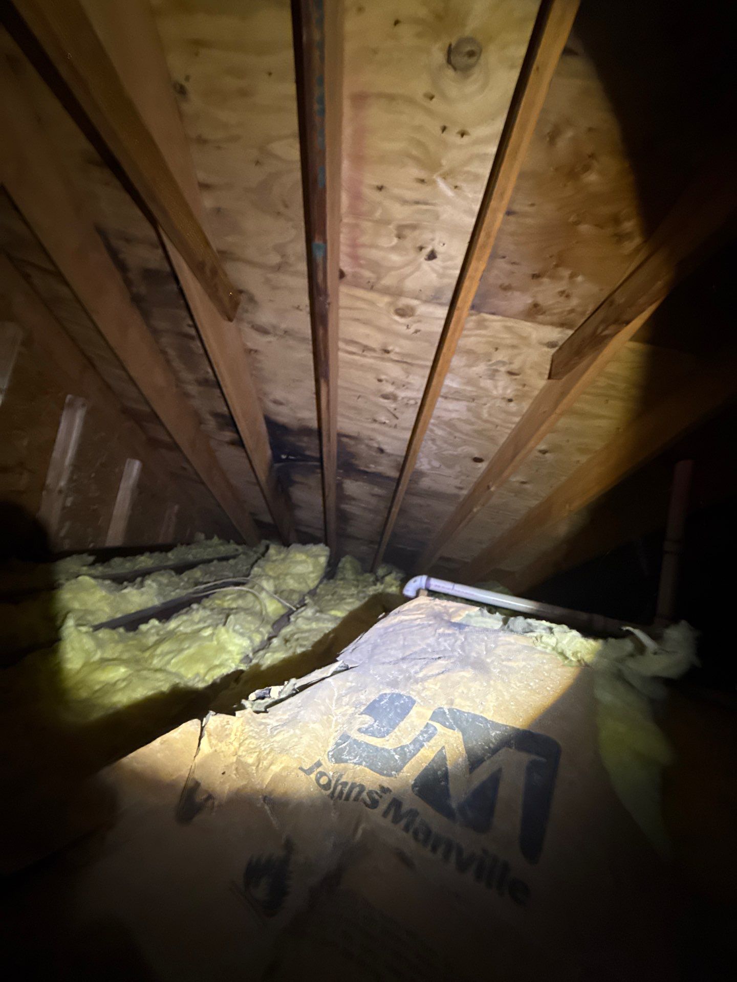 attic mold inspection
