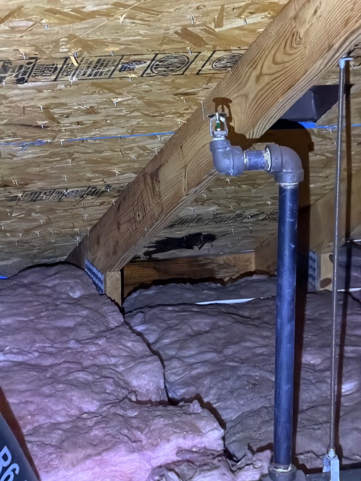 attic mold inspection