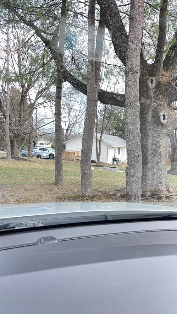 Job in Beattystown