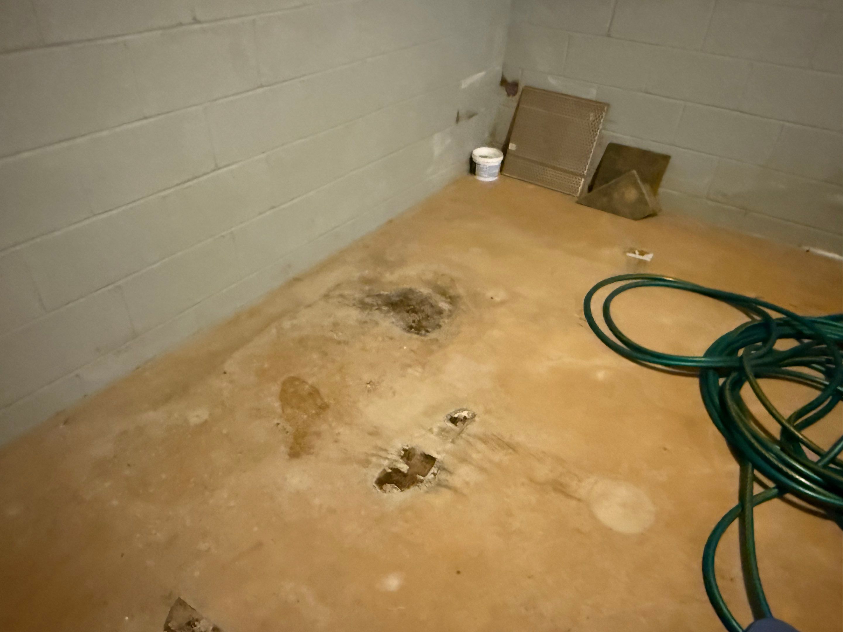 Stephanie in Roselle