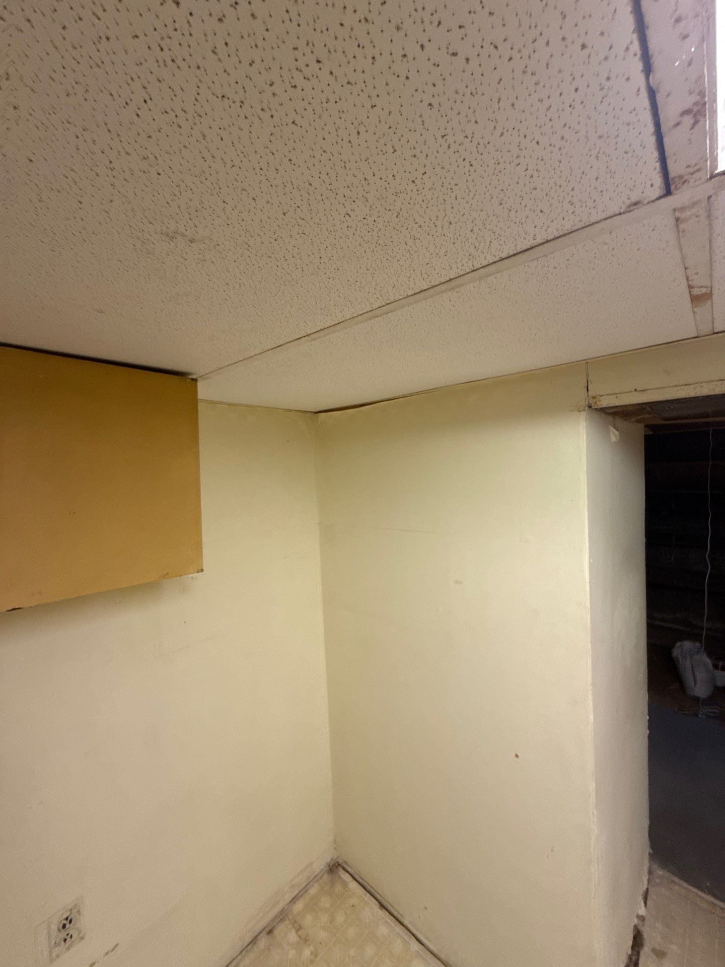 Job in West Orange