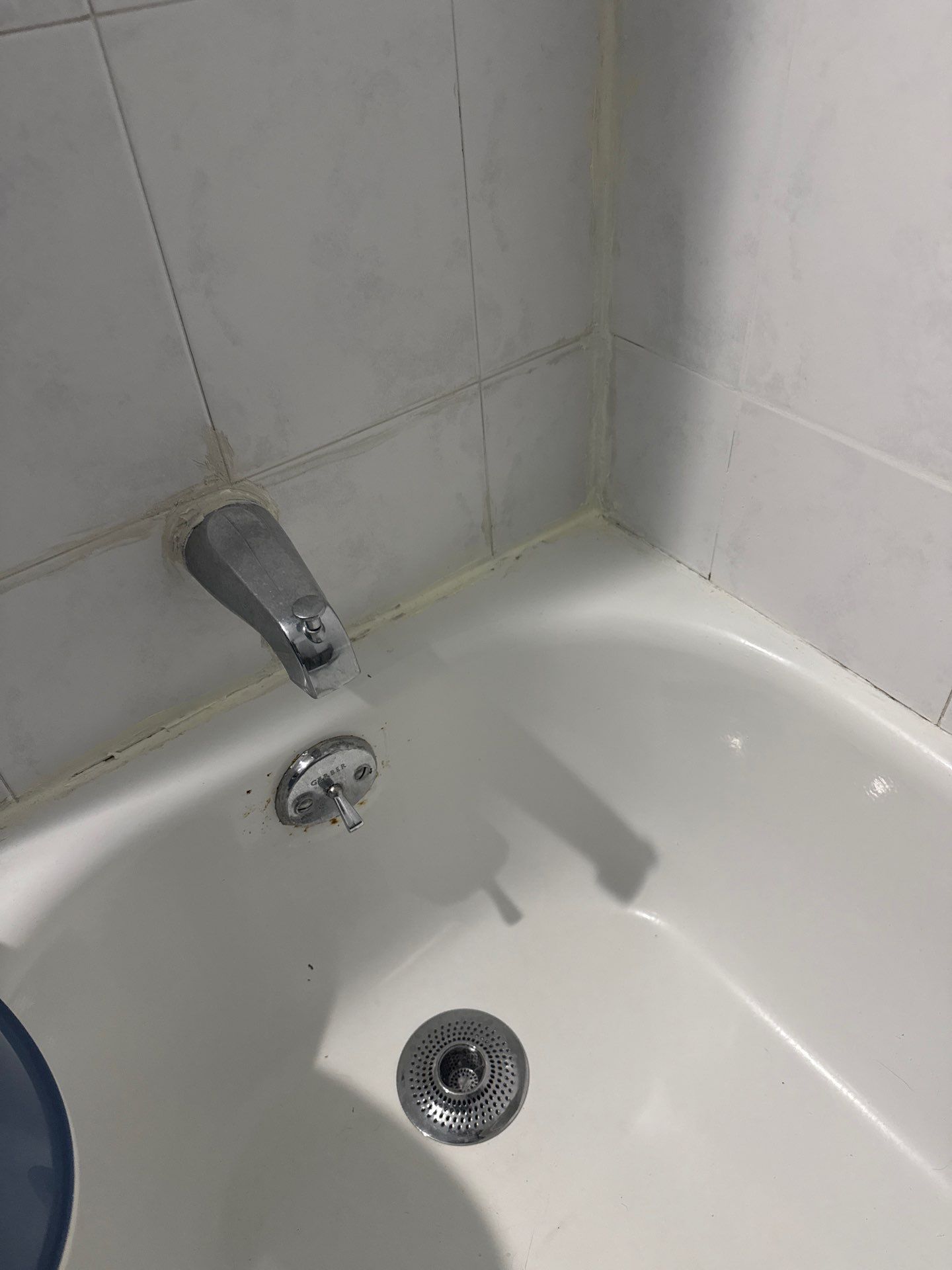 Bathroom mold inspection