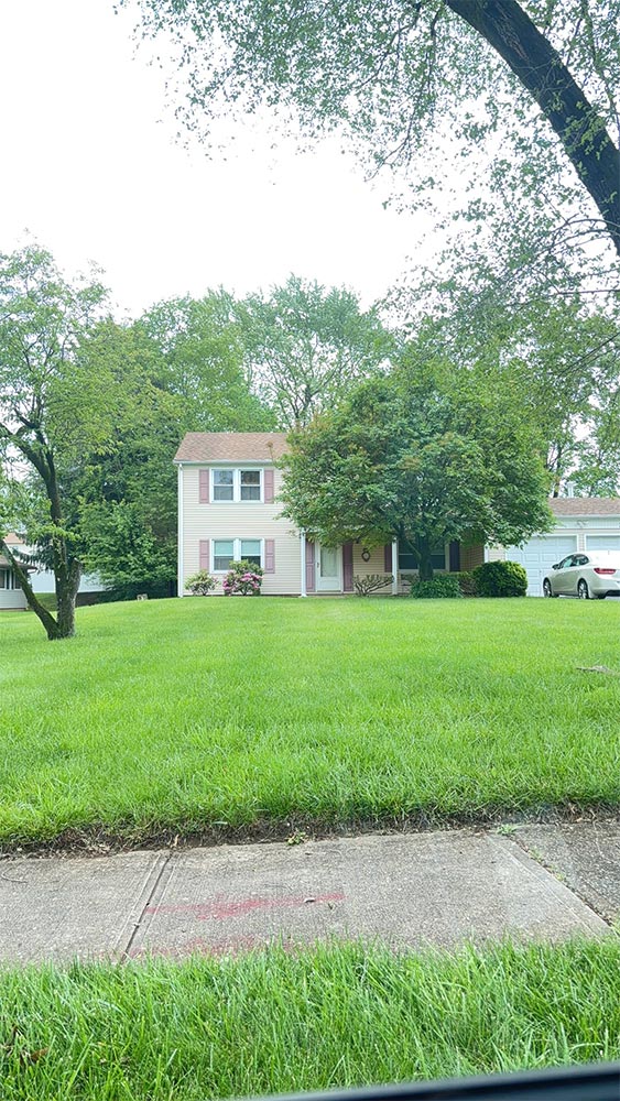 Job in Manalapan