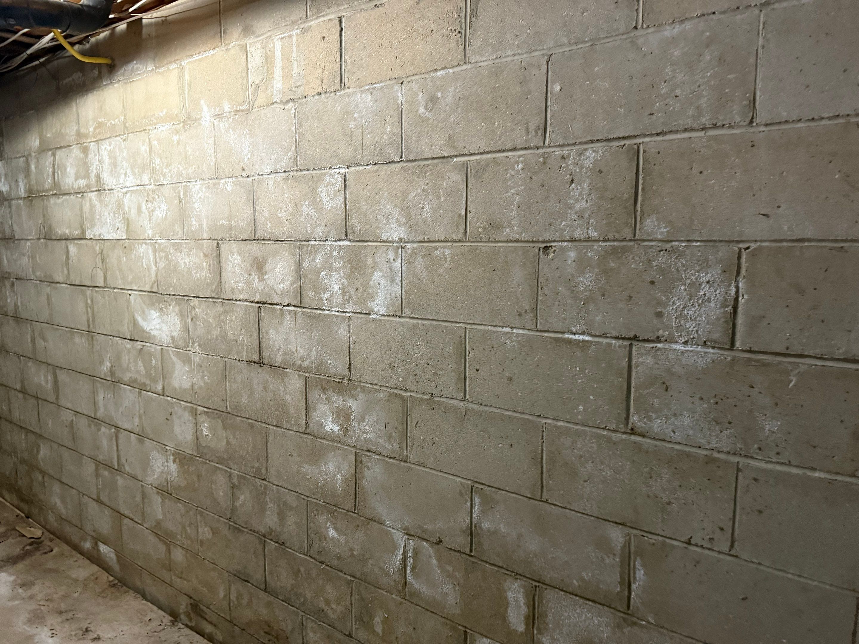 Waterproofing and Mold Removal in Middletown