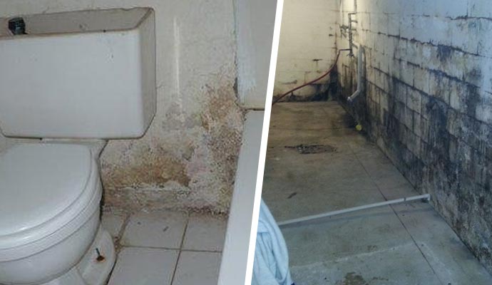 collage of bathroom and basement mold