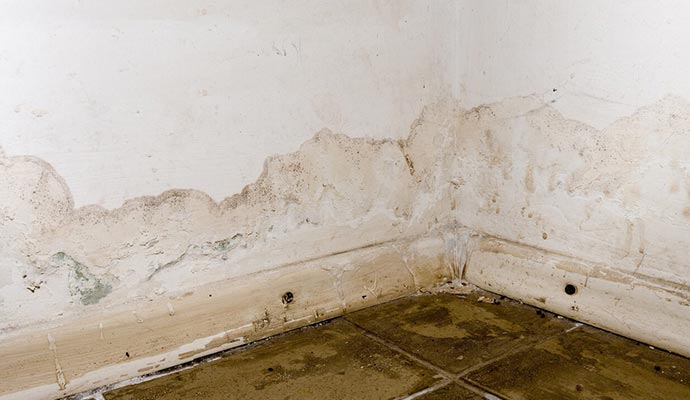 mold on bathroom corner