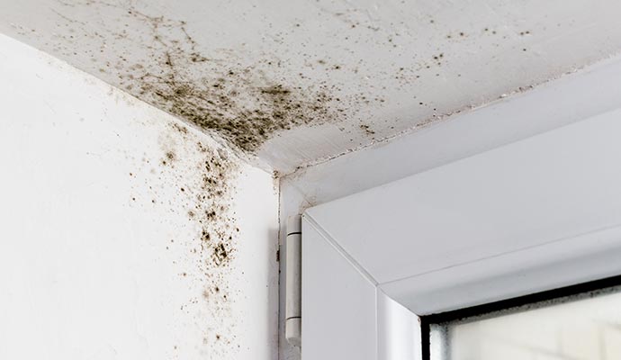mold on ceiling corner
