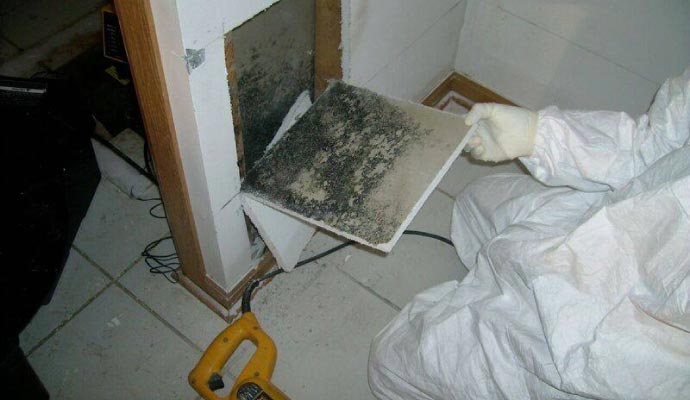 mold on hidden areas in room